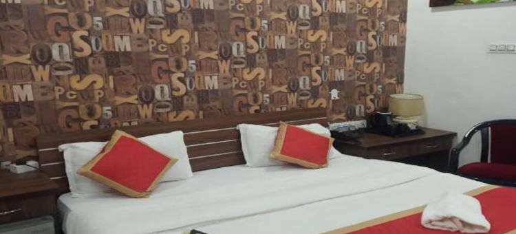 夏利玛宫酒店(Hotel Shalimar Palace)图片