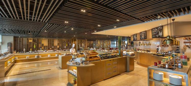 新德里利拉格调会议酒店(The Leela Ambience Convention Hotel Delhi)图片