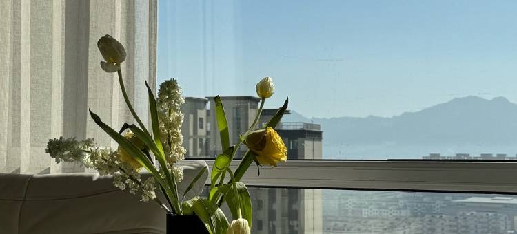 房东小美主业设计公寓(兴东北街分店)图片