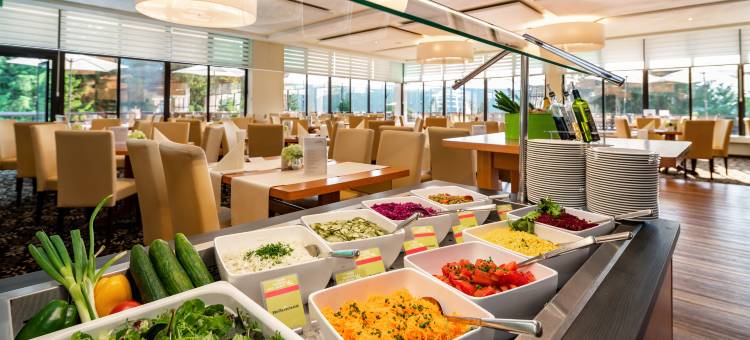 奥伯霍夫阿霍恩全景酒店(AHORN Panorama Hotel Oberhof)图片