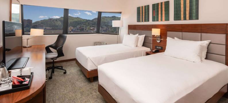 斯威士兰姆巴巴纳希尔顿花园酒店(Hilton Garden Inn Mbabane)图片