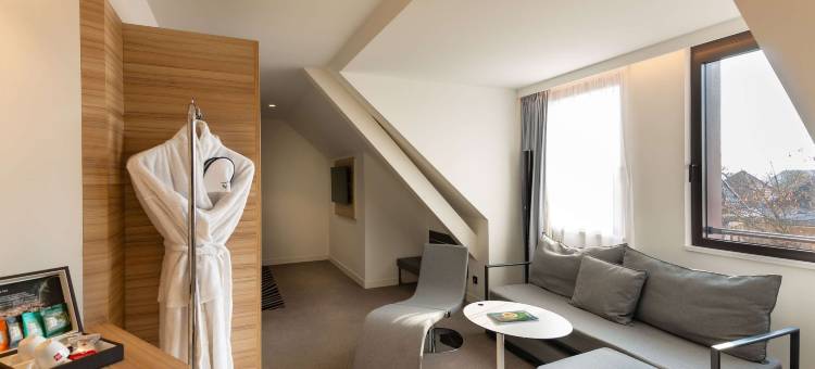 科尔玛中心诺富特全套房酒店(Novotel Suites Colmar Centre)图片