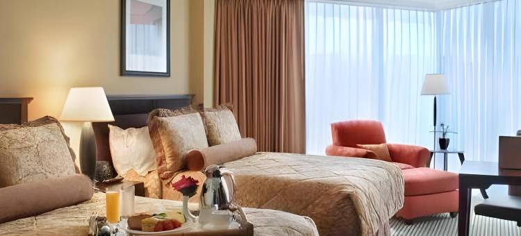 休斯顿威斯契斯希尔顿酒店(Hilton Houston Westchase)图片