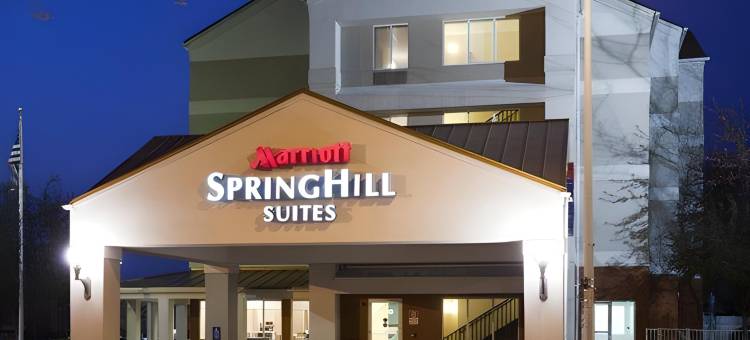 罗切斯特梅奥医学中心／圣玛丽医院万豪SpringHill酒店(SpringHill Suites Rochester Mayo Clinic Area/Saint Marys)图片