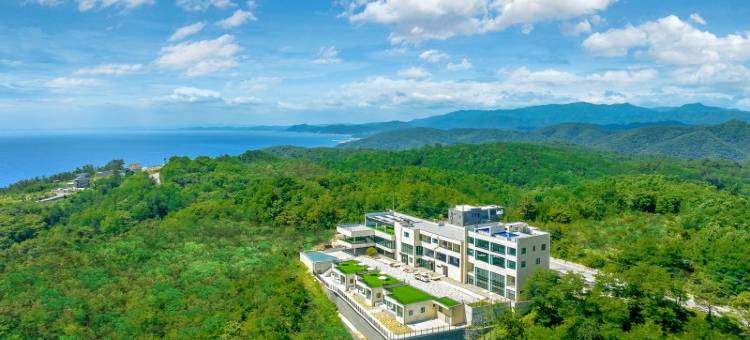 Yeongdeok Live Forest Pool Villa图片