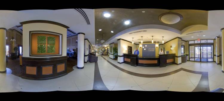 坦帕USF布希花园智选假日酒店及套房(Holiday Inn Express & Suites TAMPA -USF-BUSCH GARDENS by IHG)图片