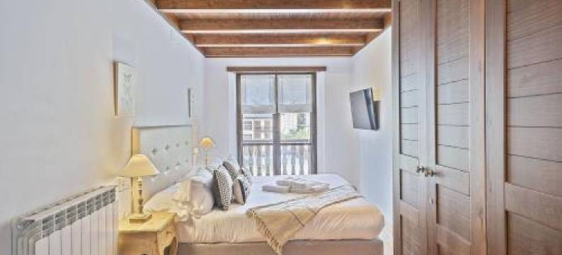 公寓(Luderna - Apartamento Val de Ruda A14 Montoliu)图片