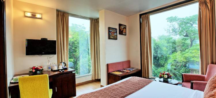 玫瑰锦葵酒店新德里(RoseMallow Hotel New Delhi)图片