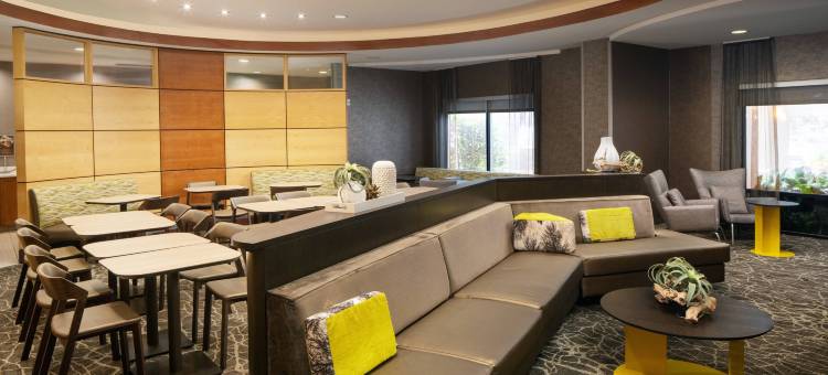 萨凡纳I-95号南万豪SpringHill酒店(SpringHill Suites Savannah I-95 South)图片