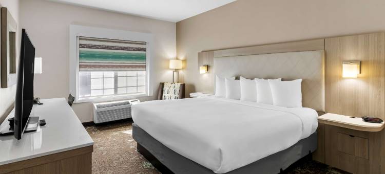 乐趣世界贝斯特韦斯特套房酒店(Best Western Worlds of Fun Inn  Suites)图片