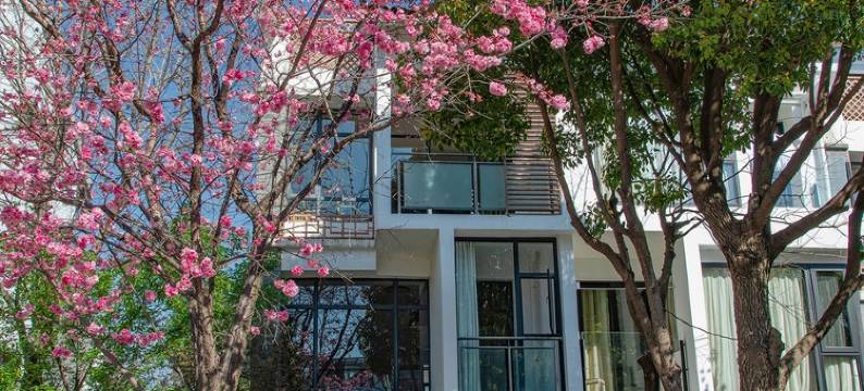 南一美宿壹号院度假别墅(苍洱大道分店)图片