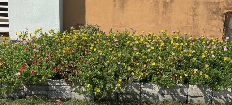 位于甘榜武吉光的3卧室独栋房屋-1300平方米|带2个独立浴室(Ara Homestay MAK CHILI)图片