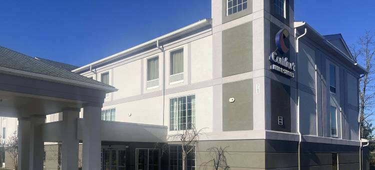 舒适套房酒店(Comfort Inn & Suites Mount Pocono)图片