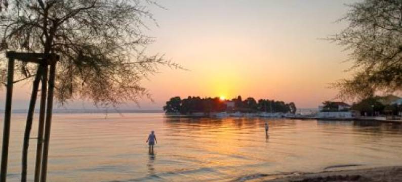 Apartments Villa Eden图片