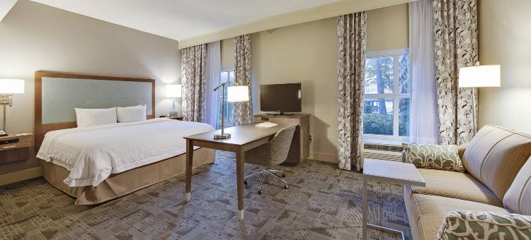 希尔顿欢朋酒店-默特尔比奇百老汇(Hampton Inn Myrtle Beach Broadway at the Beach)图片