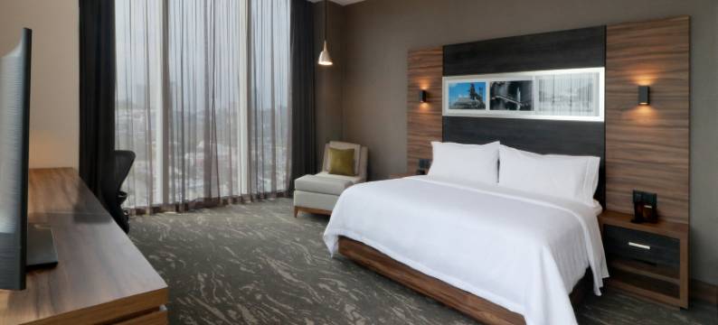 蒙特雷欧比斯帕多希尔顿花园酒店(Hilton Garden Inn Monterrey Obispado)图片