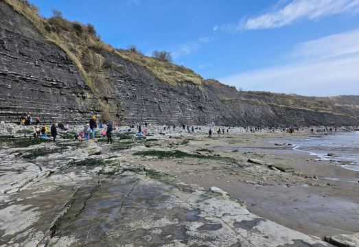 Set in the heart of Lyme Regis in the conservation area of the old town Hotel Overview