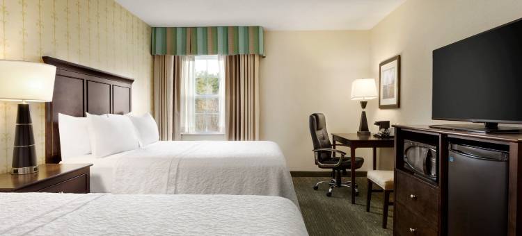 多弗尔欢朋酒店(Hampton Inn Dover)图片