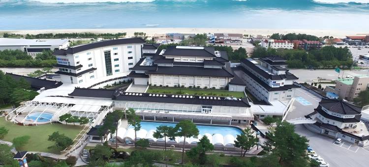 江原道东海保养水疗会议酒店(Donghae Boyang Hot Spring Convention Hotel)图片