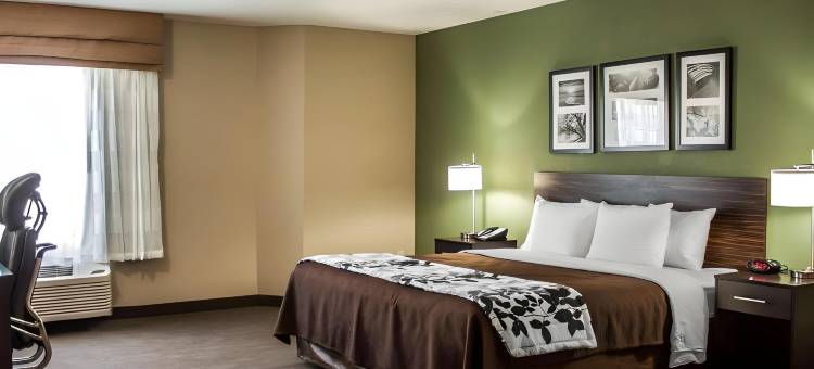 南帕舒眠酒店，近爱达荷中心(Sleep Inn Nampa Near Idaho Center)图片