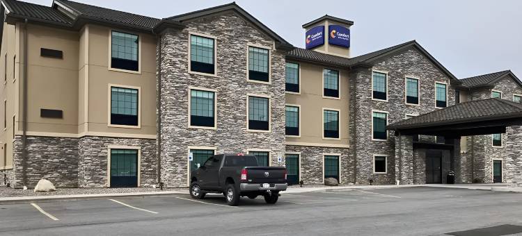 舒适酒店及套房梅迪纳纽约靠近伊利运河(Comfort Inn & Suites Medina NY Near Erie Canal)图片