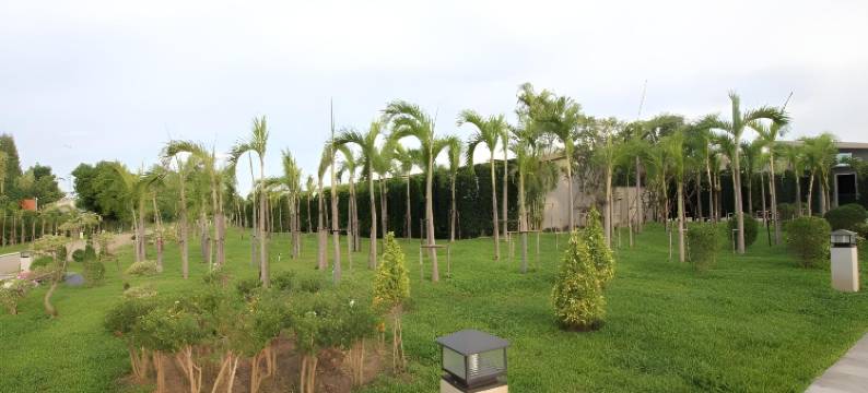 北碧府S酒店(S Hotel Kanchanaburi)图片