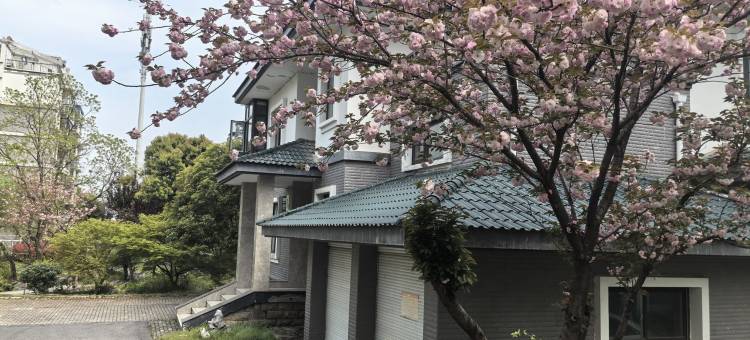 桂花飘香苑度假别墅(临城北路分店)图片