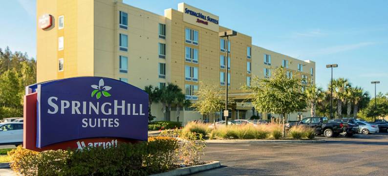 坦帕北/坦帕棕榈万豪SpringHill酒店(SpringHill Suites Tampa North/I-75 Tampa Palms)图片