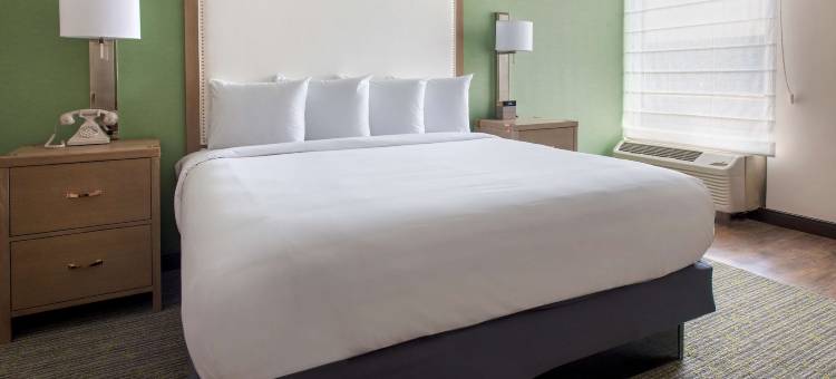 纳什维尔黑耶斯街酒店(Hayes Street Hotel Nashville)图片