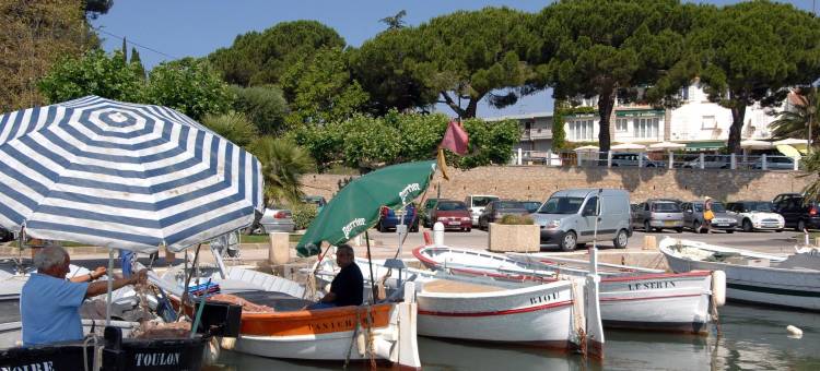 理查迪酒店(Hôtel le Richiardi)图片