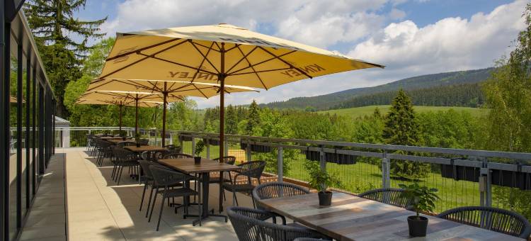 安美尼庭酒店及度假村奥利凯山丘(Amenity Hotel & Resort Orlické Hory)图片