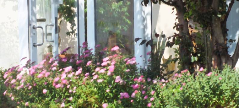 卡尔斯拉斯特看见酒店及餐厅(Seehotel & Restaurant Karlslust)图片