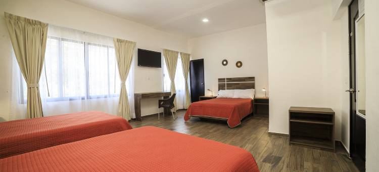 大都会O精品酒店Las Torres(Capital O Hotel Boutique Las Torres)图片