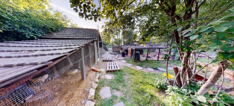 柳树的呼吸(Le Souffle du Saule)图片