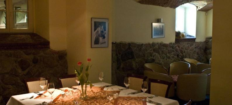 维涅瓦 Spa 及养生酒店(Hotel Spa Wieniawa)图片