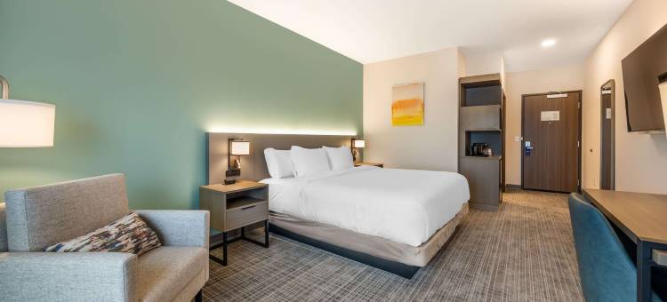 纳什维尔舒适酒店及套房(Comfort Inn & Suites)图片