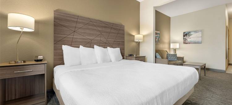 布罗克波特贝斯特韦斯特套房酒店(Best Western Brockport Inn  Suites)图片