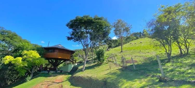 巴比伦的悬挂花园(Jardim Suspenso da Babilônia)图片