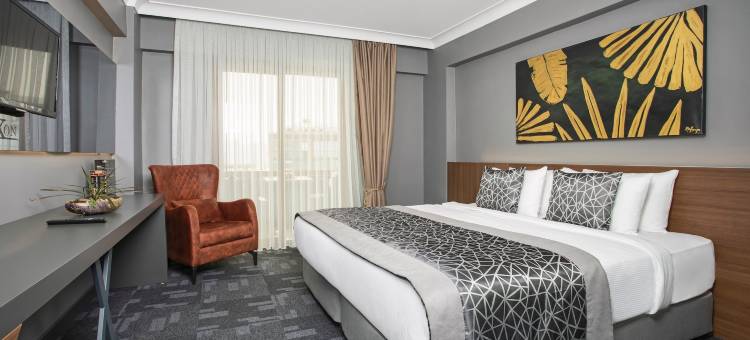 萨卡里亚卢克索酒店(Luxon Hotel Sakarya)图片