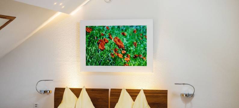 欧迪亚精品酒店(Odelya - Stadthotel im Park)图片