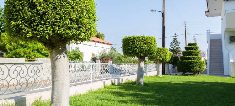 艾尼希斯酒店(Anixis Hotel & Apartments)图片