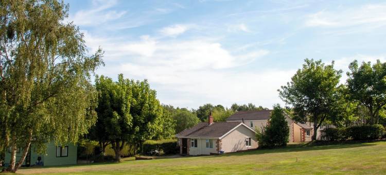 布德勒旅馆及度假屋(Bridleways Guesthouse & Holiday Homes)图片