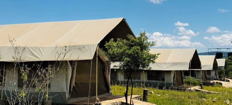 Flair 露营体验(Flair Camp Experiences)图片