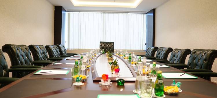 哈伊勒假日别墅酒店(Holiday Villa Hail)图片