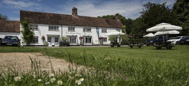 白马宾馆(The White Horse)图片