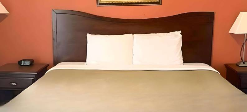 罗德威酒店(Rodeway Inn)图片