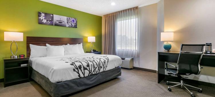阿伦敦 - 福格尔斯维尔舒眠酒店(Sleep Inn Allentown-Fogelsville)图片