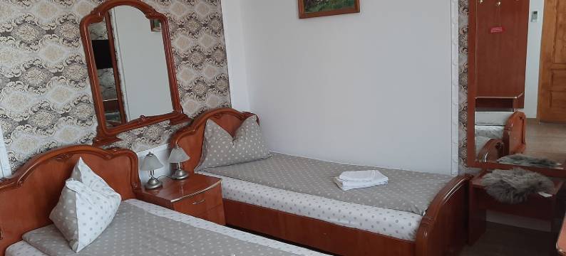 福图纳奥里别墅酒店(Vila Fortuna Auri)图片