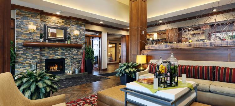 纽约州克利夫顿公园希尔顿花园酒店(Hilton Garden Inn Clifton Park)图片