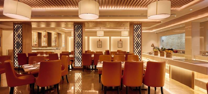 得利特萨罗瓦尔波蒂科法里达巴德(Delite Sarovar Portico Faridabad)图片